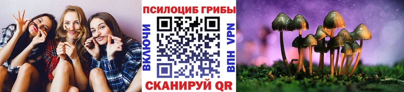 Купить  Белая Холуница  Галлюциногенные грибы прущие грибы 